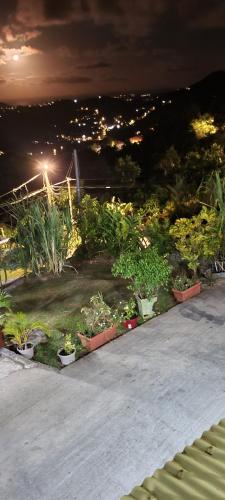 a group of plants in pots on a patio at night at Ericka et François in Quartier Monplaisir