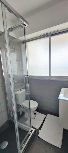La salle de bains est pourvue de toilettes et d'une enceinte en verre. dans l'établissement Cannes Studio Vue mer Panoramique Château de la Mer, à Cannes