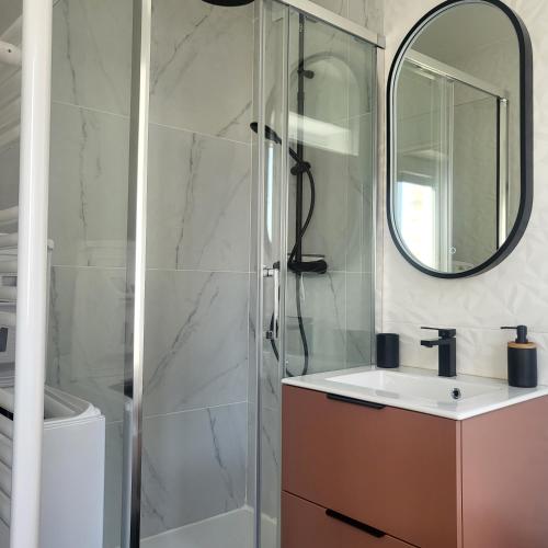 une salle de bain avec une douche, un lavabo et un miroir dans l'établissement Le Paille en Queue, à Fouesnant