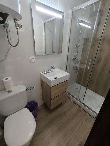 a bathroom with a toilet and a sink and a shower at Hospedería Lucano in Córdoba