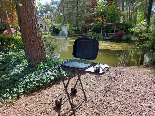 a grill sitting in front of a pond at Tranquil forest chalet by a pond in Veluwe, sleeps 4 in Doornspijk
