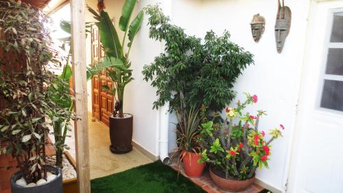 a bunch of plants in pots next to a door at Un petit coin de paradis à Ouakam-Mamelles in Dakar