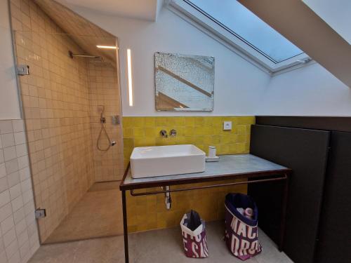 une salle de bain avec un lavabo et une douche dans l'établissement Appartement design dans un écrin végétal, à Scherwiller