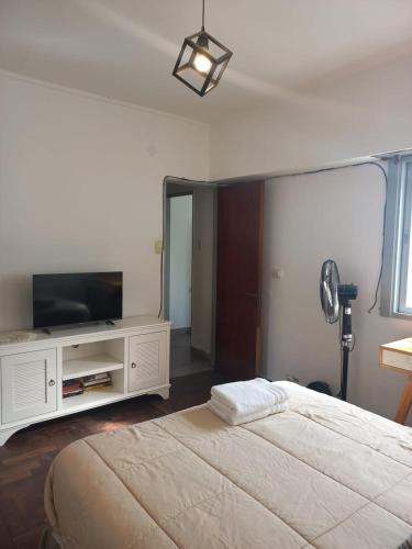 a bedroom with a large bed and a television at PH La Plata Casco Urbano in La Plata