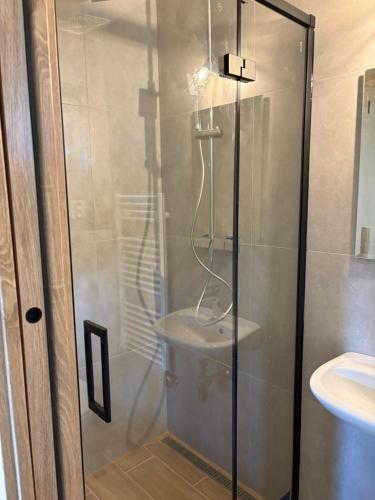 a shower with a glass door in a bathroom at Chata na lúke in Tatranska Strba