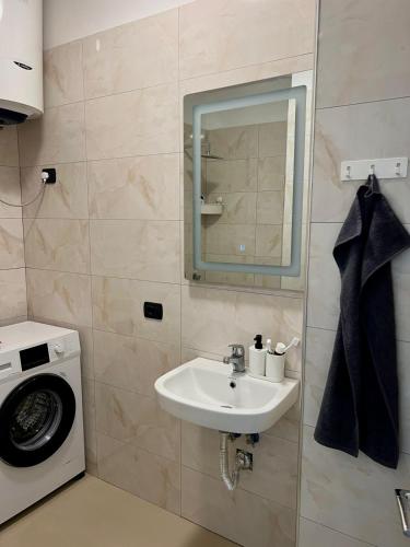 un bagno con lavandino e lavatrice di Puhiza Apartment a Lezhë (Alessio)