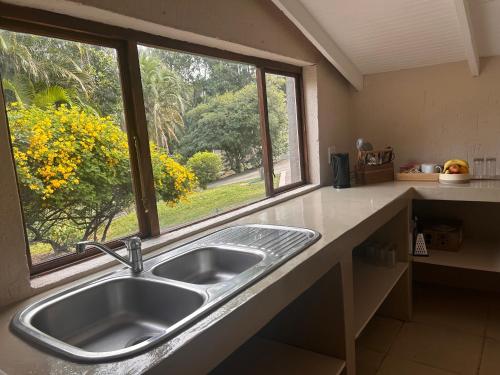 una cucina con un lavandino e una finestra di Clansthal Bush Cottage a Clausthal