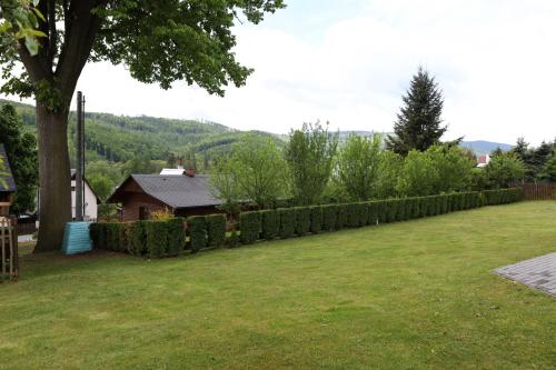 a hedge fence in a yard with a house at U Jana in Karlovice