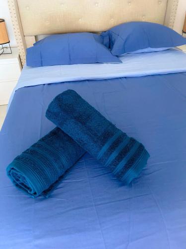 - une couverture bleue sur un lit avec un oreiller bleu dans l'établissement Les pieds dans l eau, à Nice