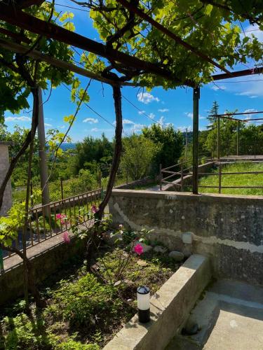 Villa Jolanda