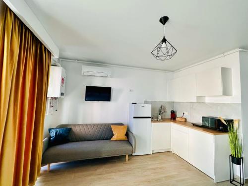 un soggiorno con divano e cucina di Bucuria Studios Mamaia Nord a Mamaia Nord - Năvodari