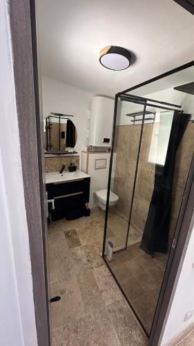 une salle de bain avec une douche, un lavabo et des toilettes dans l'établissement Lappartement du sud, à Saint-Quentin-la-Poterie
