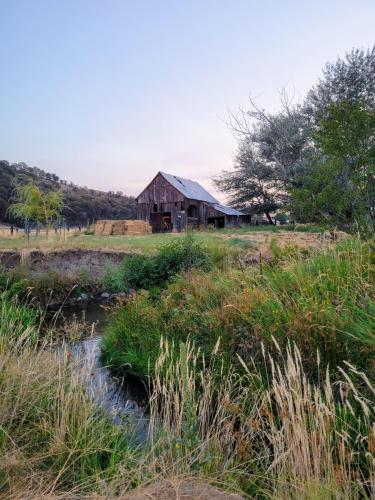 a barn in a field next to a stream at 8 Mile Farm Bed & Breakfast in The Dalles