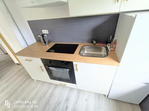 a small kitchen with a sink and a counter at FMi21 in Hochheim am Main