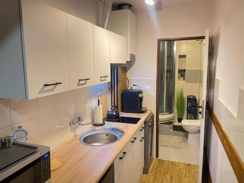 a small kitchen with a sink and a toilet at Apartament przy Starej Hucie in Szklarska Poręba