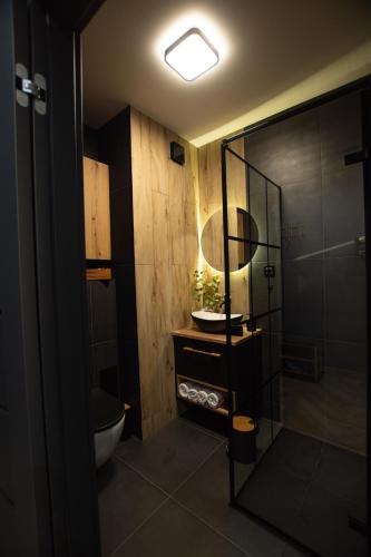 a bathroom with a toilet and a sink and a shower at Przystanek Rudawy in Janowice Wielkie