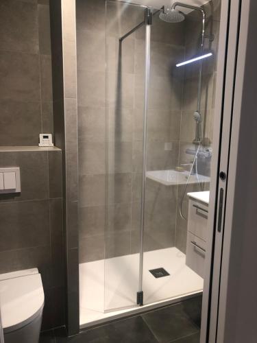 une douche avec une porte vitrée dans une salle de bain dans l'établissement Studio en rez de jardin dans résidence calme avec piscine, à Juan-les-Pins