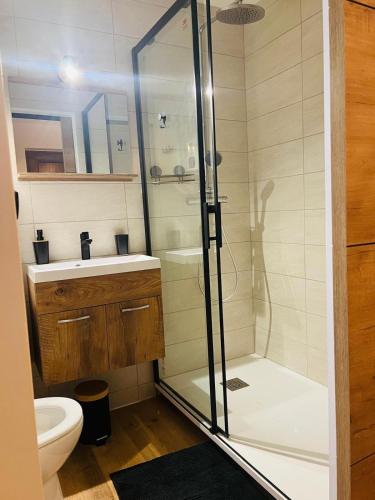 une salle de bain avec une douche, un lavabo et des toilettes dans l'établissement Charmant logement tout confort, à Bernex