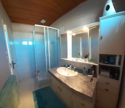 une salle de bain avec un lavabo et une douche dans l'établissement Maison familiale aux carrefours des loisirs, à Le Taillan-Médoc