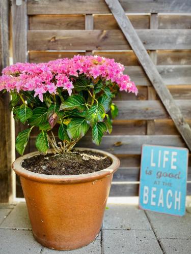 a potted plant with pink flowers in a pot next to a sign at Rørvig Bed & Kitchen in Rørvig
