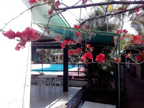 a patio with a table and flowers and a pool at Cabañas Los Troncos in Ituzaingó