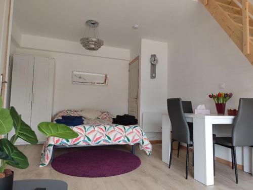 Studio Garden Parking Airport Eurexpo Groupama Stadium