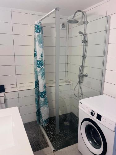 a shower in a bathroom with a washing machine at Logement Campagne Coquelicots Plaisance in Le Lamentin