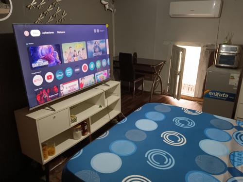 TV a/nebo společenská místnost v ubytování Habitación individual Privada