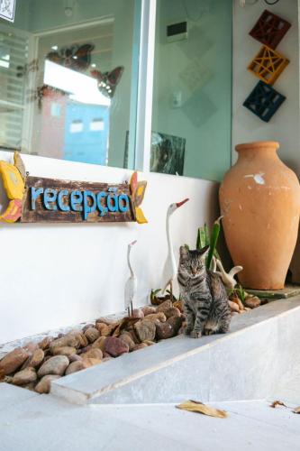 a cat sitting on a shelf next to a vase at Pousada Maresia Unique Beira Mar in Porto De Galinhas