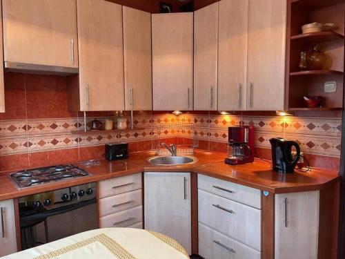 a kitchen with wooden cabinets and a sink and a stove at Apartament Pod Pawiem in Olsztyn