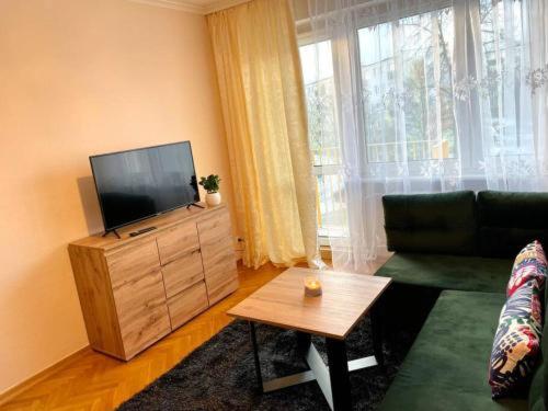 a living room with a couch and a tv at Apartament Pod Pawiem in Olsztyn