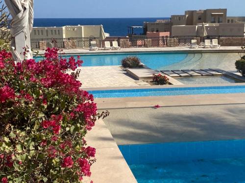 a swimming pool with pink flowers and the ocean in the background at Cozy studio in Azzurra Resort Sahl Hasheesh 65 Sq M in Hurghada