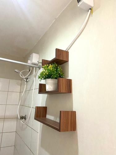 a bathroom with wooden shelves and a plant on the wall at Florencia Lodgement in Lima