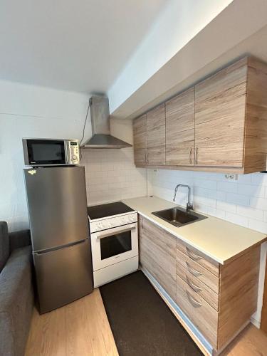 una cucina con frigorifero in acciaio inox e lavello di cozy apartment a Reykjavik