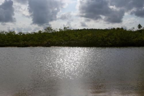 a body of water with trees in the background at NORI POUSADA in São Miguel dos Milagres