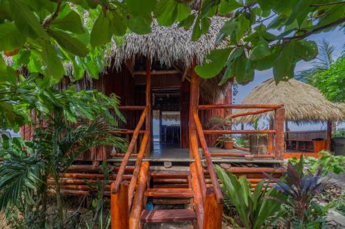 Κήπος έξω από το Casa Tranquila