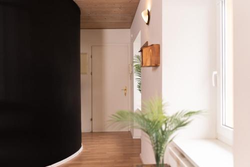 a hallway with a potted plant in a room at homy Alpenlodge in Innerbraz