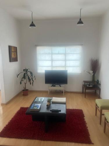 a living room with a television and a red rug at Puebla en familia in Puebla