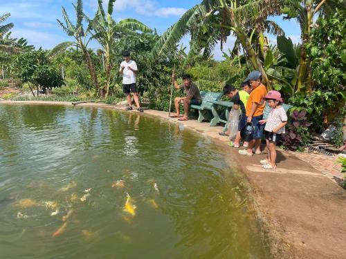 a group of children looking at a pond with fish at Khu nghỉ dưỡng sinh thái Apsara Sóc Trăng in Ấp Vĩnh Hưng