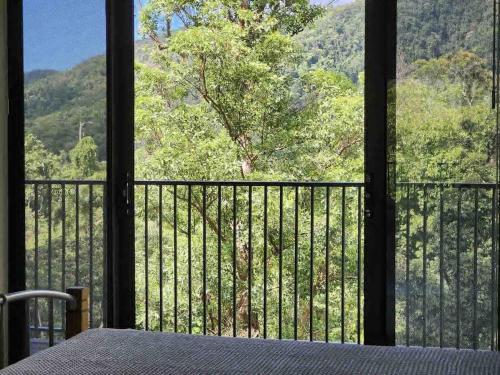 a room with a window with a view of a mountain at Daintree Getaway - Private Oasis in Daintree