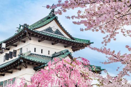 a pagoda with pinkakura trees in front of it at Asahi sauna Capsule Inn Hirosaki in Hirosaki