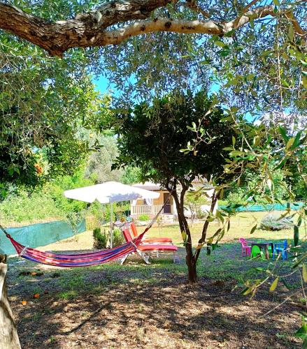 a hammock under a tree with a umbrella and a table at Elia House in Perítheia