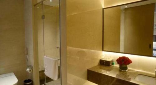 a bathroom with a shower and a toilet and a mirror at Beijing Friendship Hotel Jing Bin Building in Beijing