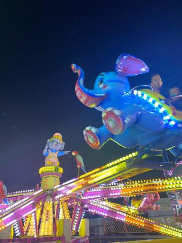 une promenade à dos d'éléphant lors d'un carnaval la nuit dans l'établissement Studio en bord de mer, tous commerces animations, à Saint-Hilaire-de-Riez