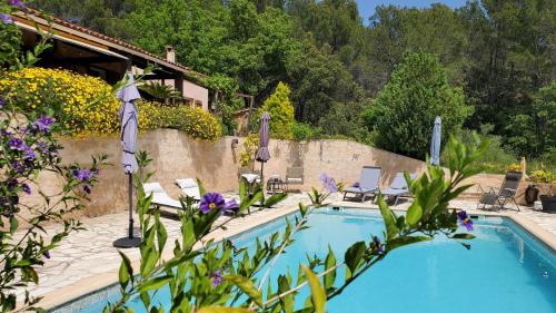 - une piscine avec des chaises et des fleurs violettes dans l'établissement Lou Caliandro, à La Celle-sous-Gouzon