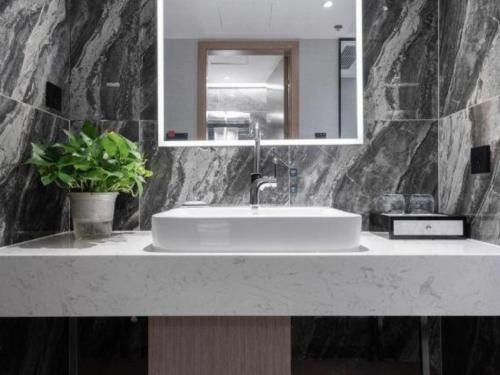 a bathroom sink with a mirror and a potted plant at Nanning Prince Hotel in Nanning