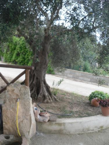 a tree next to a table and some plants at Appartamento MareMontagna in Cardedu