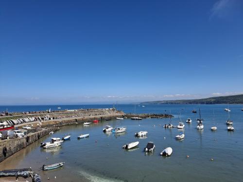 a group of boats in the water near a pier at The Cambrian in New Quay