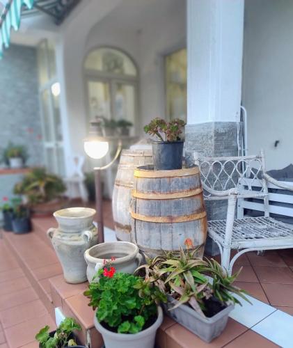 a group of potted plants sitting on a porch at Grotta dei Puntali B&B in Carini
