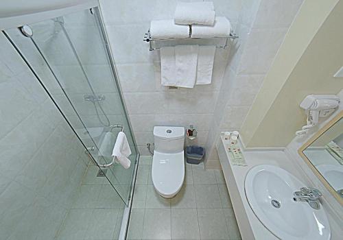 Koupelna v ubytování ibis Tianjin Wuqing Hotel